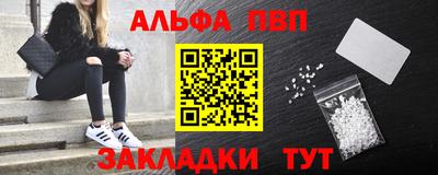 стафф Кингисепп