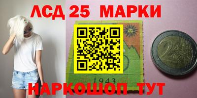 стафф Кингисепп