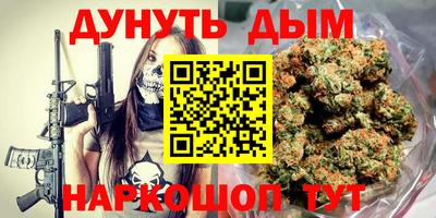 стафф Кингисепп