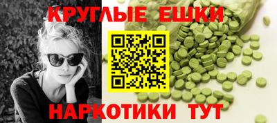 стафф Кингисепп