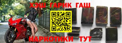 стафф Кингисепп