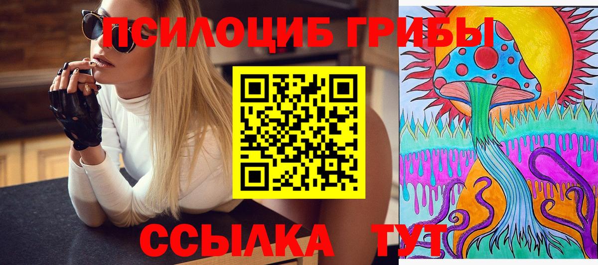 Галлюциногенные грибы мицелий Канаш