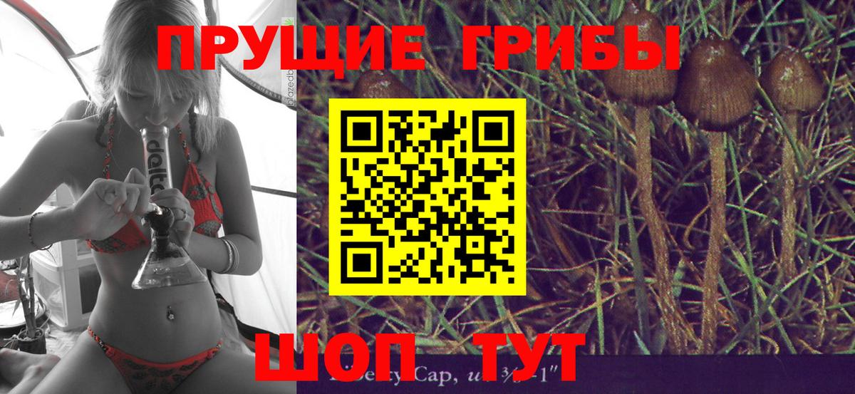 Канаш  Галлюциногенные грибы Psilocybine cubensis  Вход с VPN 